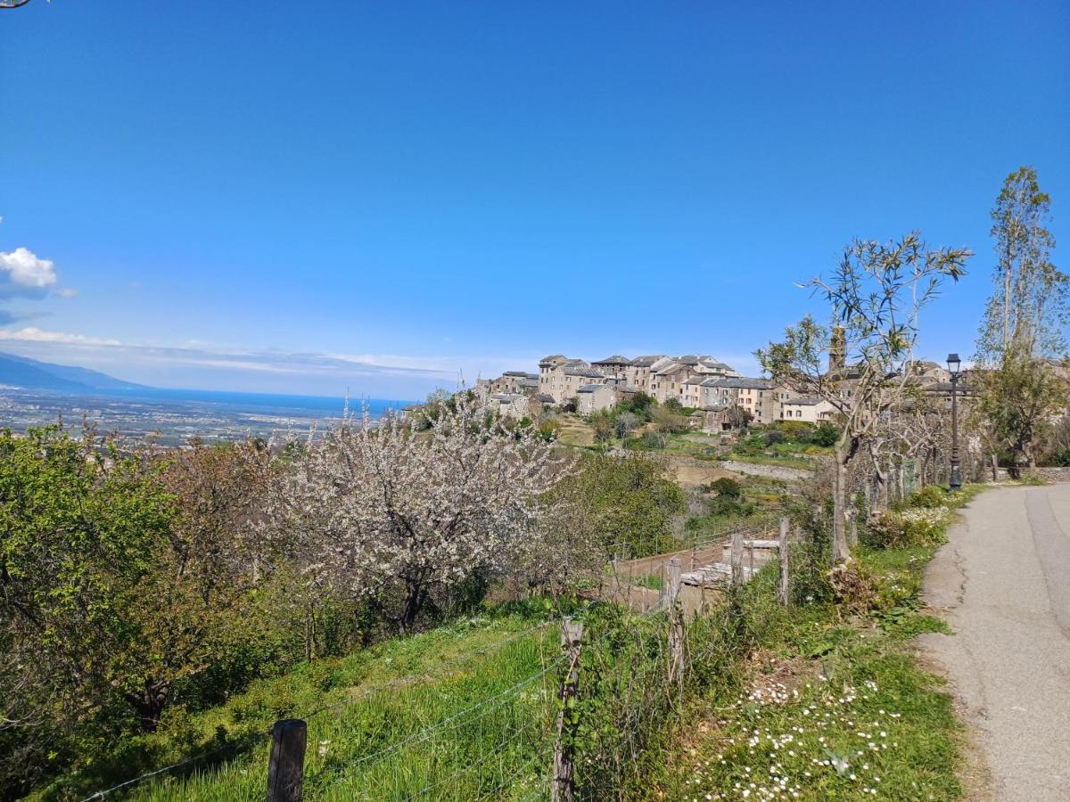 Casa Pernice Penta di Casinca Buitenkant foto