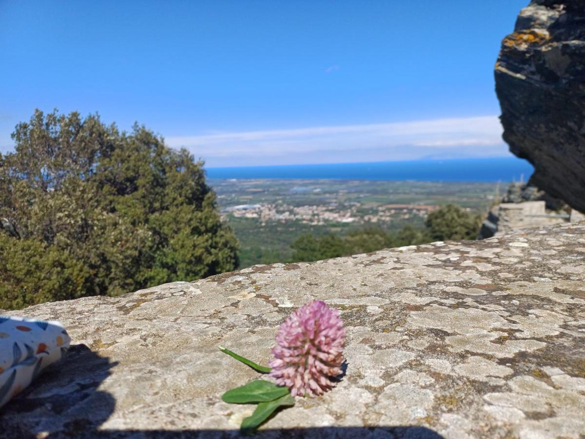 Casa Pernice Penta di Casinca Buitenkant foto